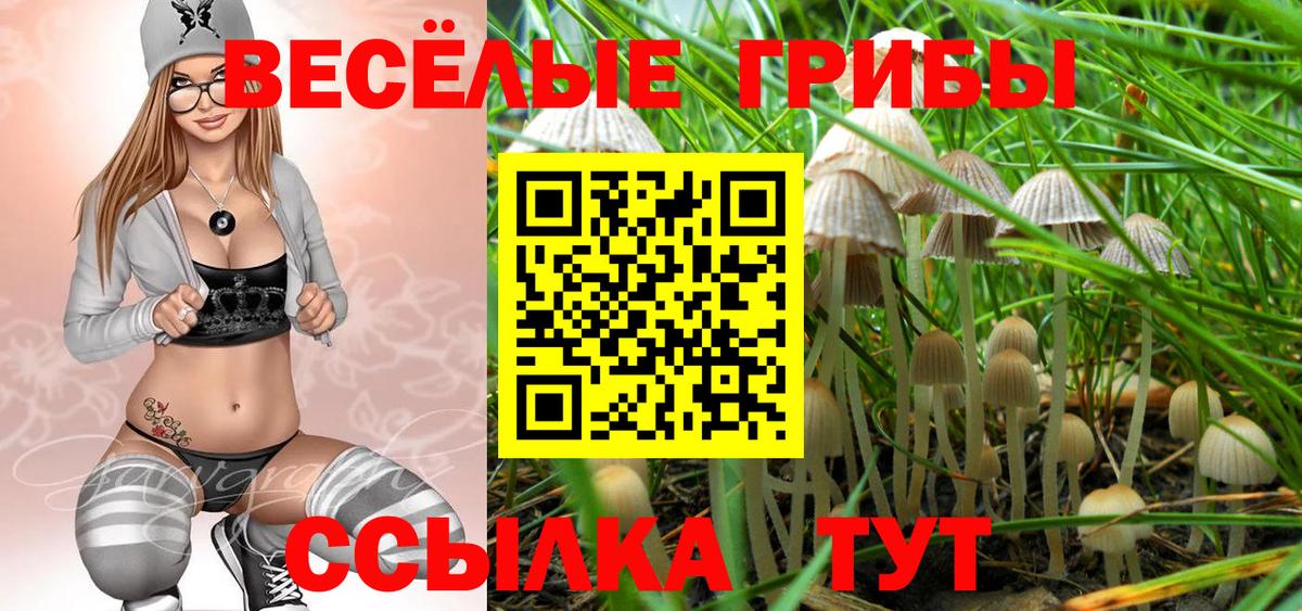 Галлюциногенные грибы мицелий  Псилоцибиновые грибы ЛСД  Шатура  Вход с VPN 